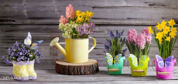 چگونه از آلودگی هوای منزل جلوگیری کنیم؟