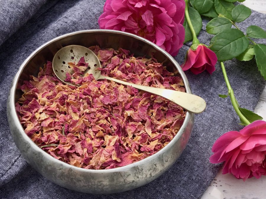 چگونه گل محمدی را خشک کنیم؟