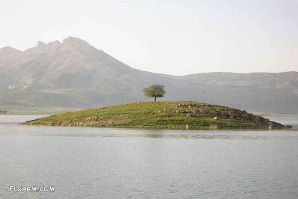 دریاچه و تالاب ارژن در شیراز