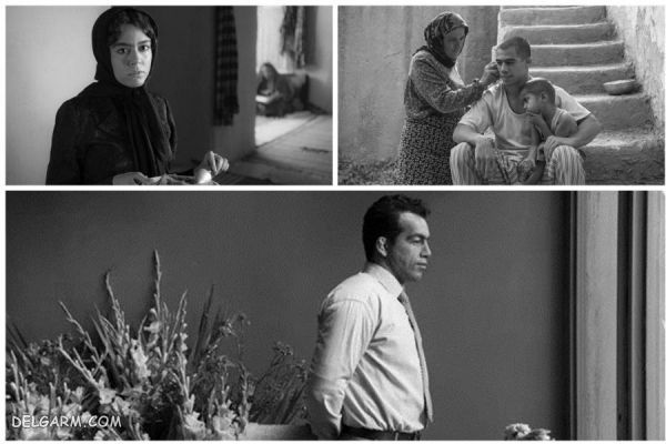 معرفی ۱۰ فیلم برتر سی و هفتمین جشنواره فیلم فجر