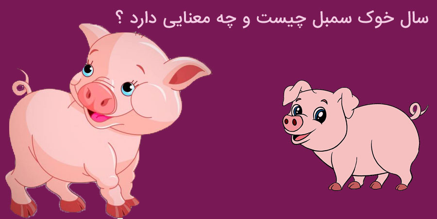 سال خوک سمبل چیست و چه معنایی دارد ؟