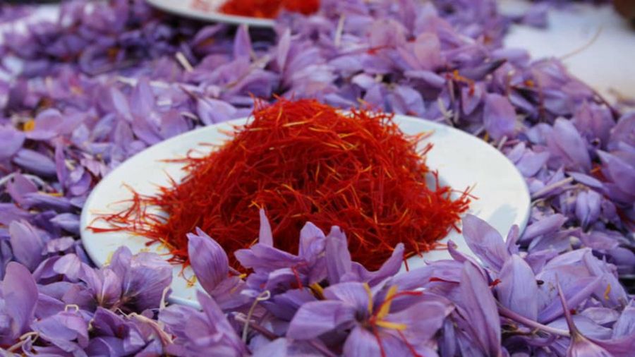 دستگیری ۱۲ قاچاقچی با ۴۳۸ کیلو زعفران تقلبی در مشهد