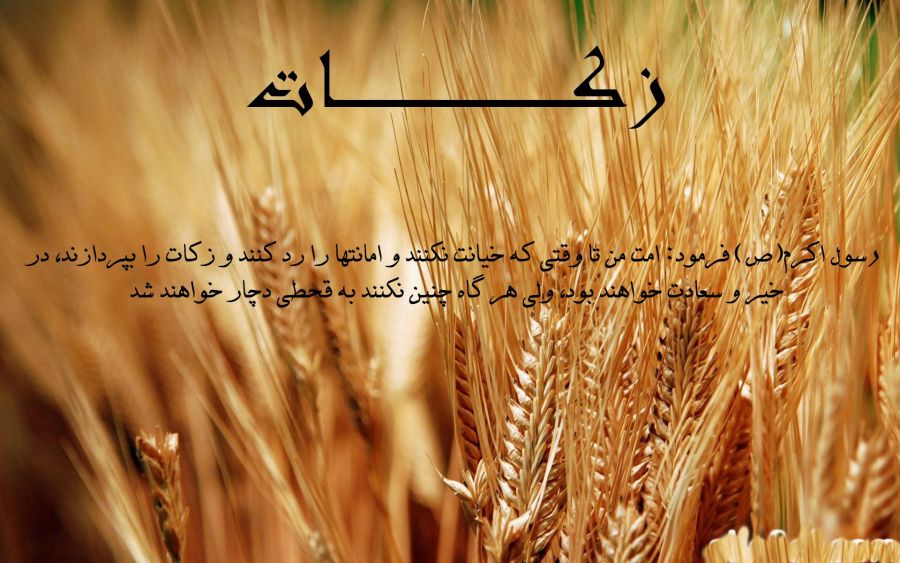 مبلغ زکات فطره در سال ۹۸ چقدر است ؟