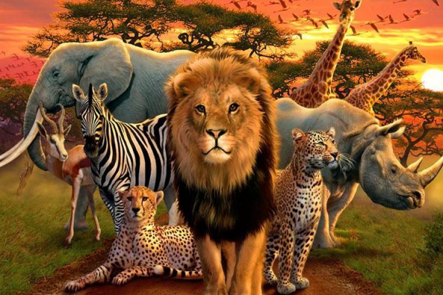 تاریخ دقیق روز جهانی تنوع زیستی چه روزی است ؟