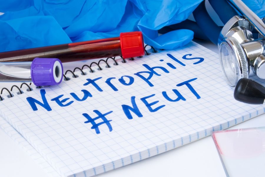 علل و خطرات بالا و پایین شدن Neut (نوتروفیل) در آزمایش خون