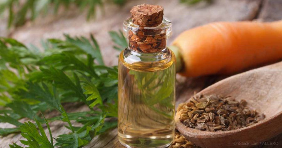 خواص فوق العاده روغن تخم هویج برای سلامت بدن