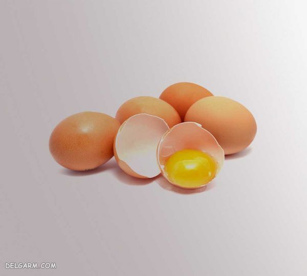 تخم مرغ موادغذایی مناسب برای رشد مو