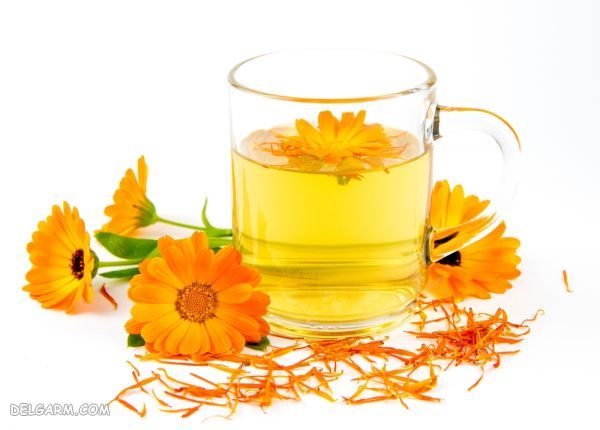 چای کالاندولا یا گل همیشه بهار، مناسب برای مقابله با پرخوری عصبی