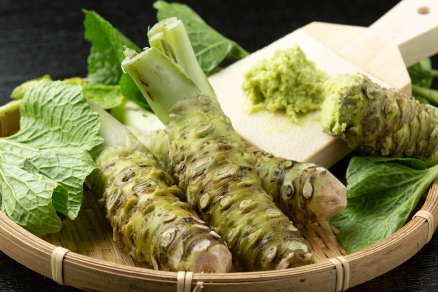 عوارض و مضرات واسابی (ترب ژاپنی) چیست ؟