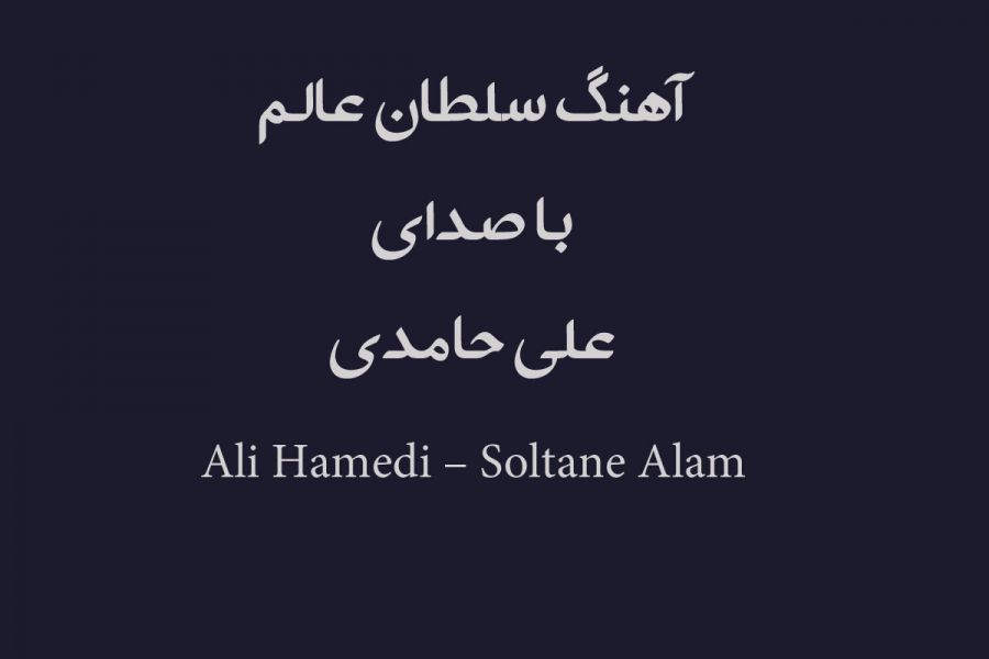 دانلود آهنگ علی حامدی بنام سلطان عالم برای اربعین
