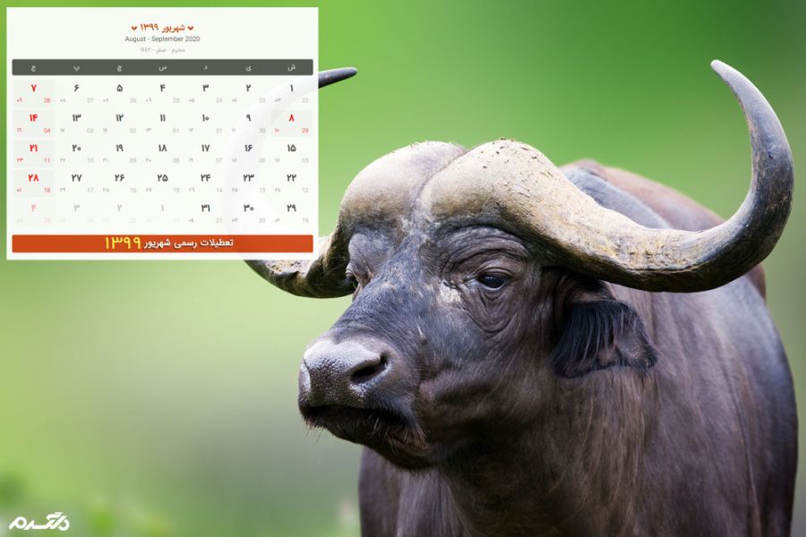 تعطیلی های ماه شهریور 99