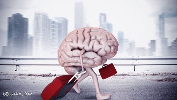 علل فرارمغزها