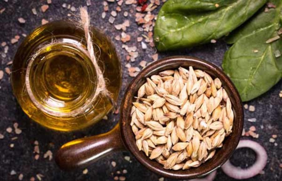 معرفی بهترین شامپوهای جوانه گندم با اثر گذاری فوق العاده