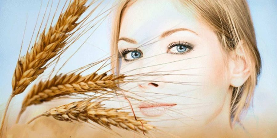 انواع ماسک جوانه گندم برای شادابی و زیبایی پوست + طرز تهیه