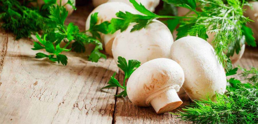 با ارزش غذایی و خواص قارچ آشنا شوید