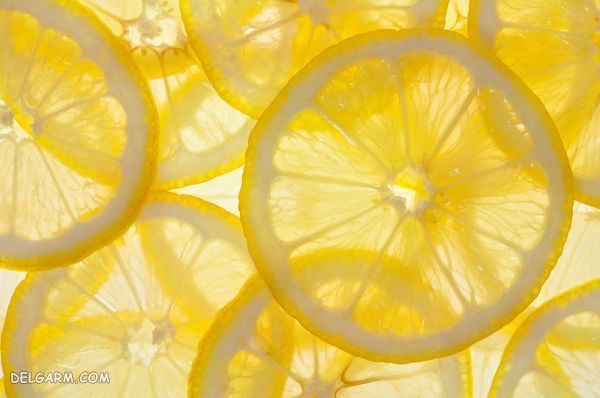 لیمو ترش/لیموترش/کالری لیمو ترش/کالری لیموترش/کالری لیمو/لیمو/خواص لیمو ترش/خواص لیموترش/خواص لیمو/ارزش غذایی لیمو/ارزش غذایی لیمو ترش/ارزش غذایی لیموترش
