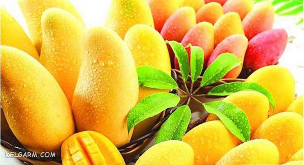 انبه/کالری انبه/ارزش غذایی انبه/خواص انبه/فواید انبه