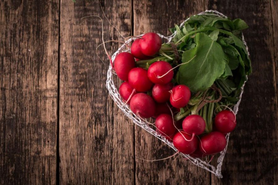 فواید و ارزش غذایی تربچه نگین سبزی خوردن
