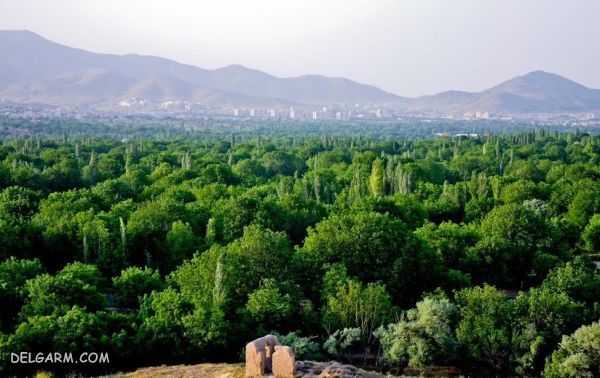 جاذبه های طبیعی و تاریخی شهر ارک