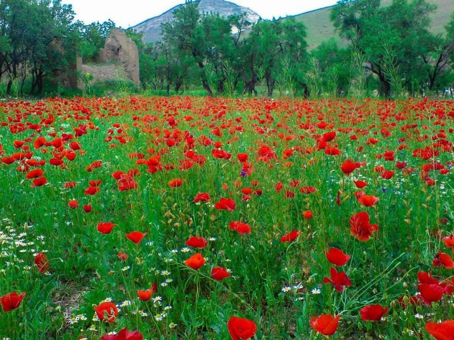 آشنایی با مکان های دیدنی و گردشگری تفرش