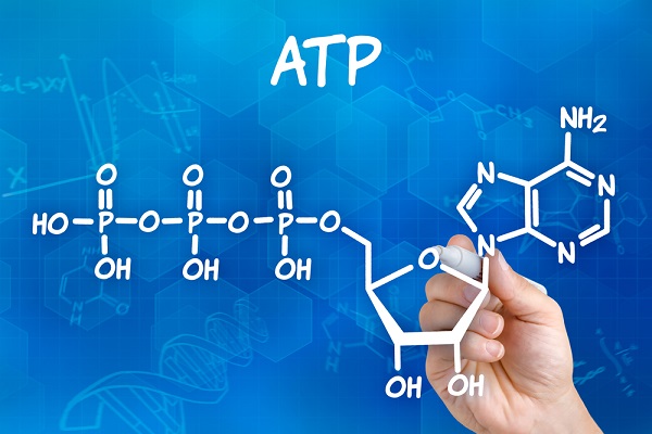 یا آدنوزین تری فسفات atp