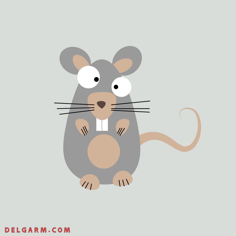 تصاویر موش برای سال موش mouse photo vectors 1399 - 2020