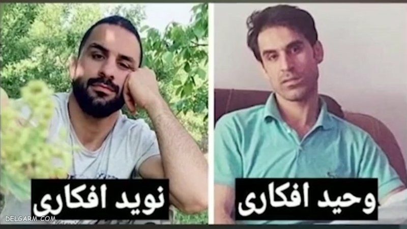 بیوگرافی نوید افکاری