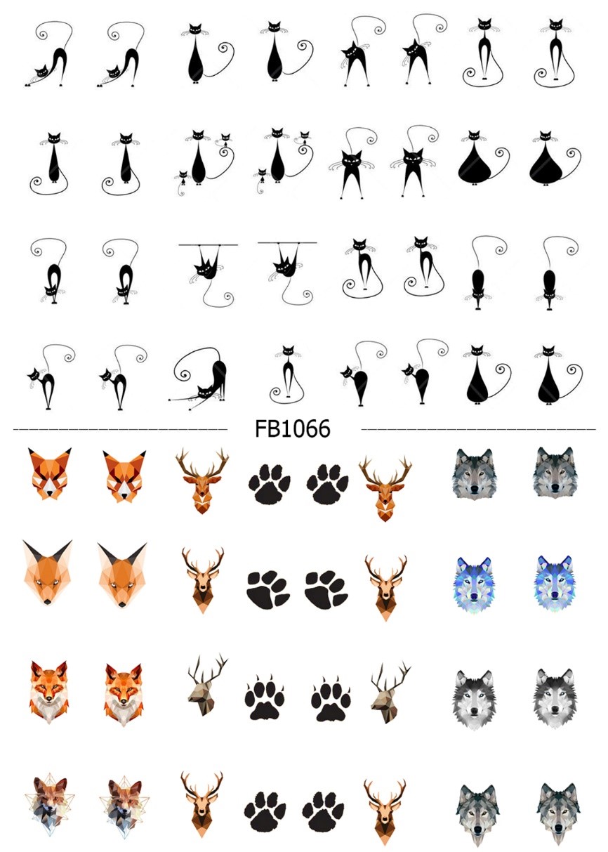 لنز ناخن چیست و چگونه استفاده میشود ؟