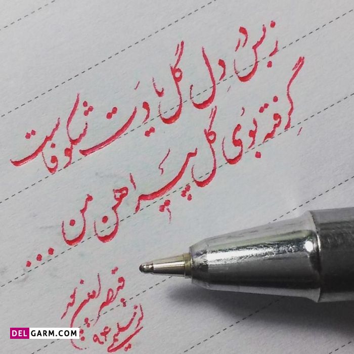 بهترین اشعار قیصر امین پور 
