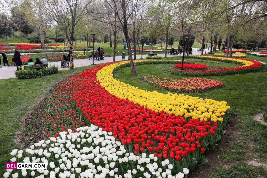 باغ گلها یکی از منحصربه فردترین باغ ها در کرمانشاه