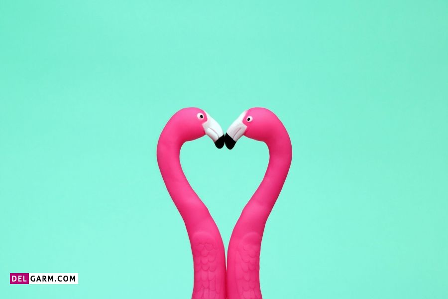 جملات رمانتیک و عاشقانه