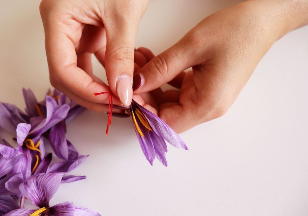 خواص زعفران 10 خاصیت شگفت انگیز زعفران برای سلامتی انسان
