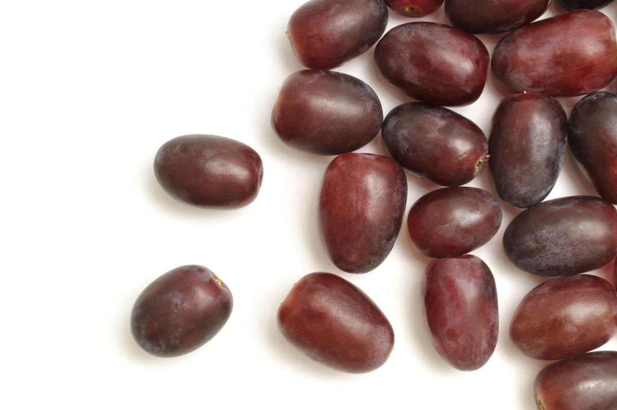 21 خواص انگور شانی