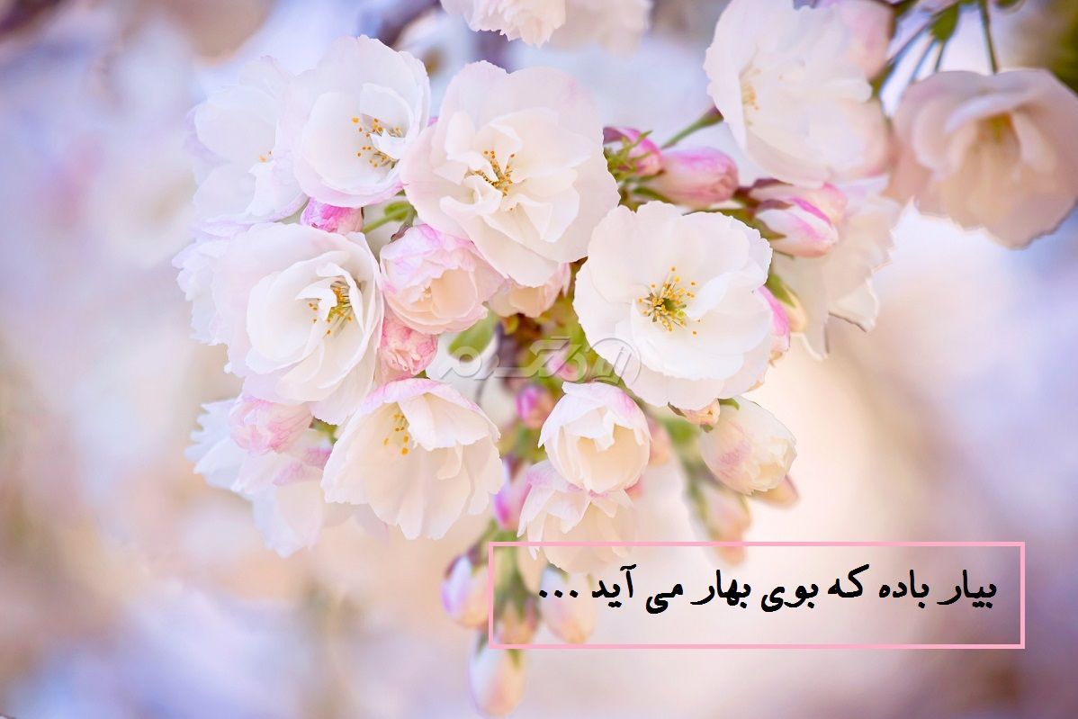 انشا سال 1401