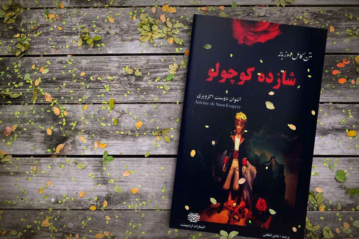  جملات و دیالوگ های شازده کوچولو