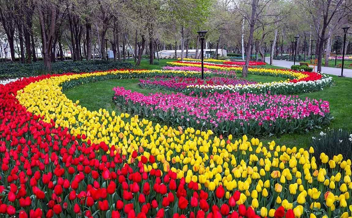 عکس باغ گلهای کرمانشاه
