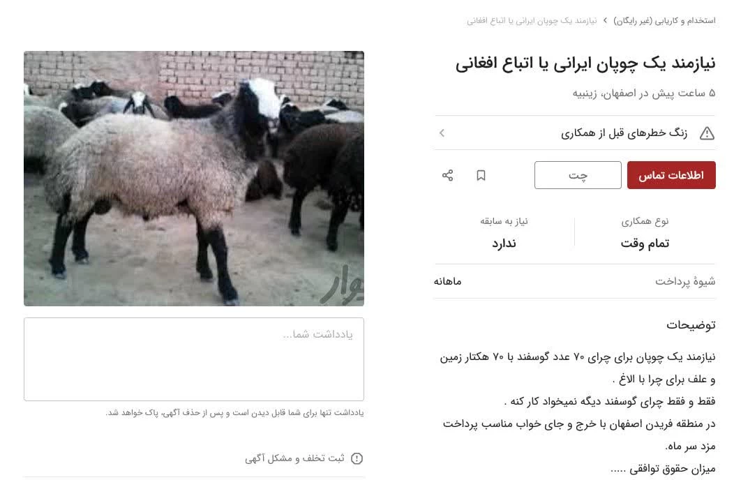 استخدام چوپان در سراسر کشور