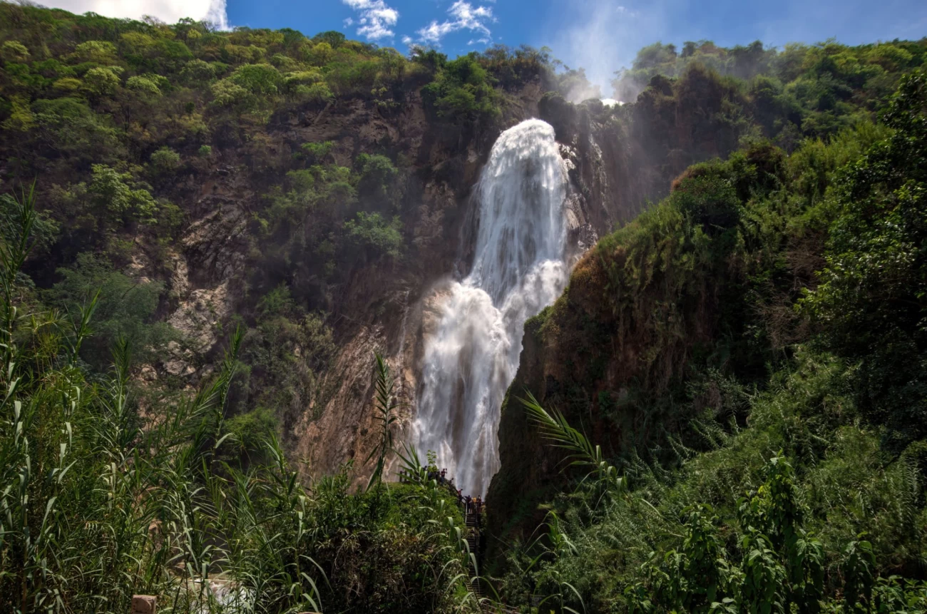 آبشار ولیلا سوادکوه در مسیری جنگلی