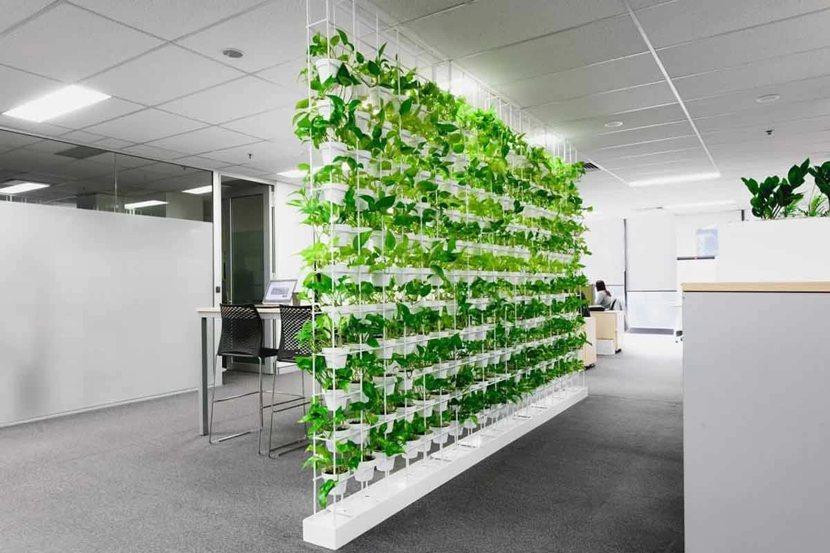 Фирма зелень. Компания Грин Спейс вертикальное Озеленение. Зеленая стена GWA-20. Перегородка из зелени. Перегородка с растениями.