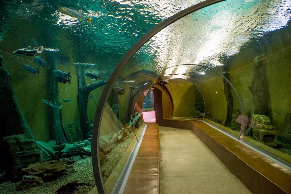 باغ وحش ژوهانسبورگ