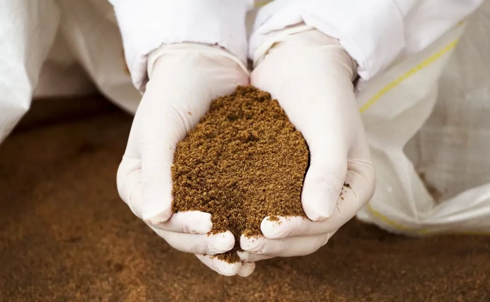  پودر گوشت