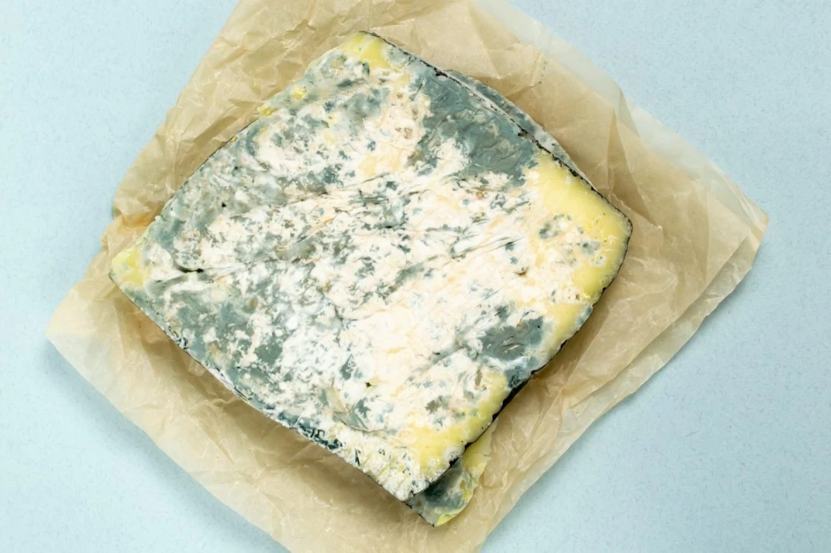 آیا میتوان پنیر کپک زده را خورد؟