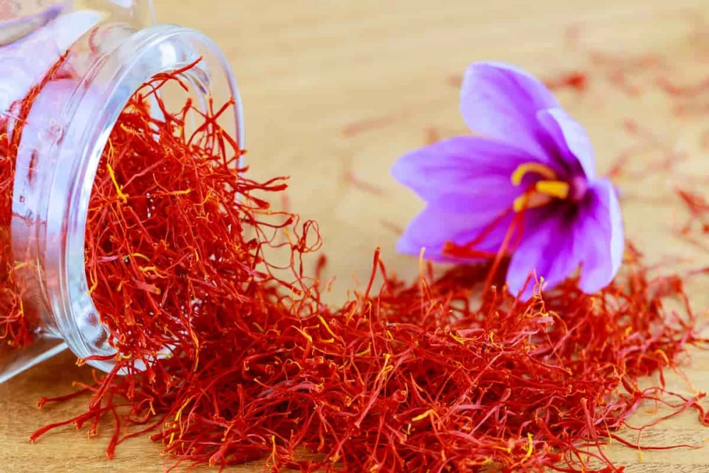 همه چیز در مورد زعفران