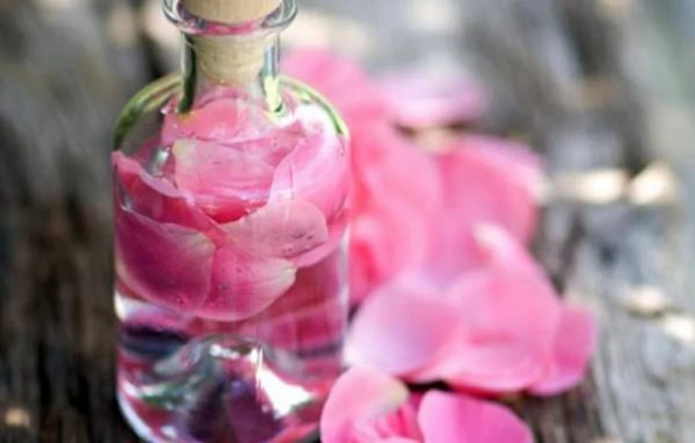 گلاب برای کودکان