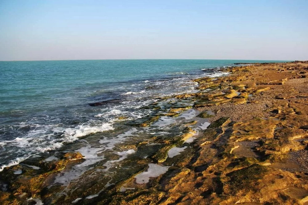 جزیره نخیلو