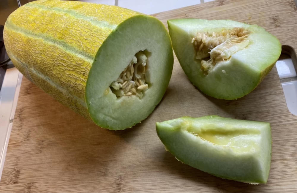 خربزه برای کودک
