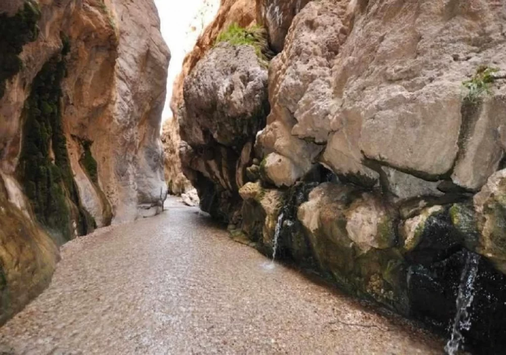 چشمه مرتضی علی