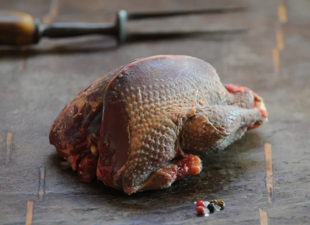 خواص گوشت کبوتر