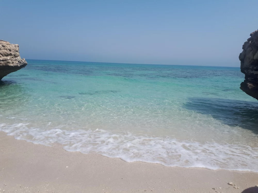 جزیره شیدور