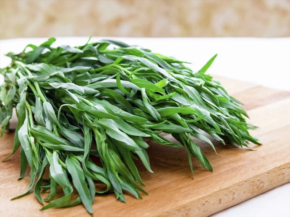 خواص سبزی ترخون برای کودکان